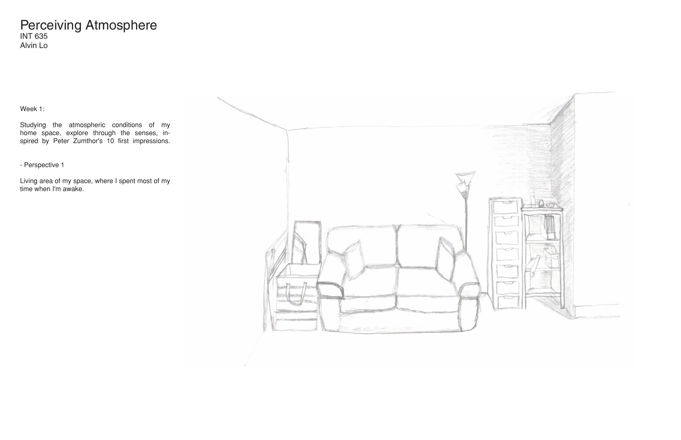 Selected perspective for the Perceiving Atmosphere study