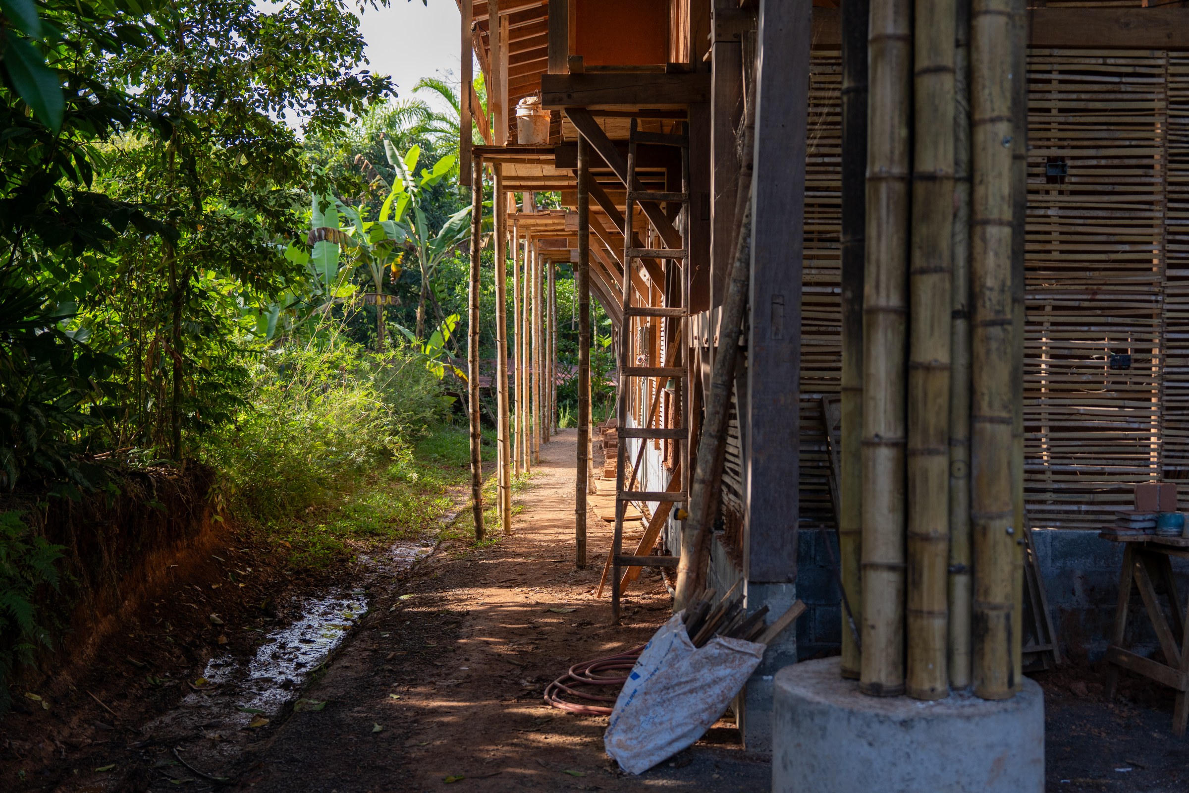 Bamboo structural columns beside a tropical landscape
